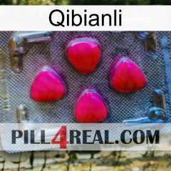 Qibianli 13